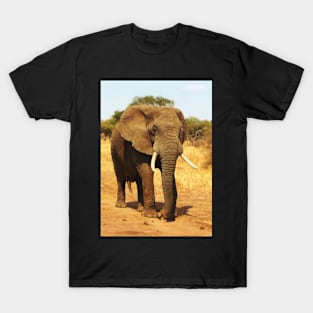 ELEPHANT WALK T-Shirt